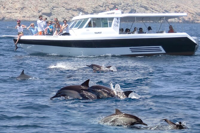 Experience Dolphin watching and snorkeling in Muscat - Key Highlights You’ll Care About