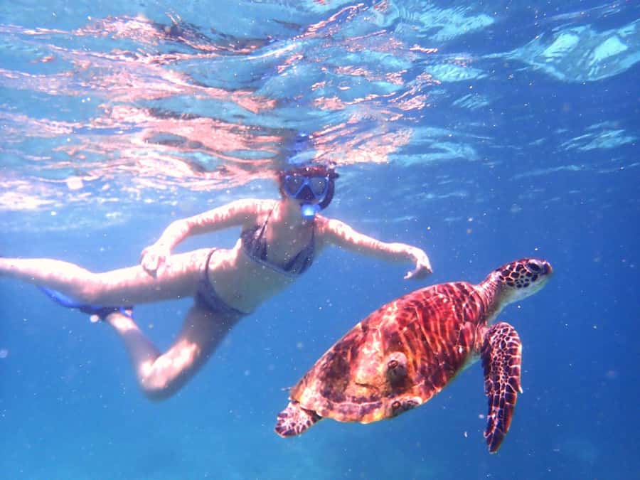 From Al-Seeb: Dimaniyat Islands Boat Trip with Snorkeling - Boat ride comfort, snacks, shade, and why it matters