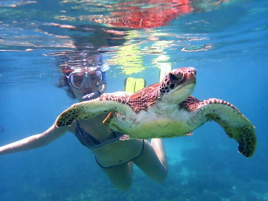 From Al-Seeb: Dimaniyat Islands Boat Trip with Snorkeling - Price and value: is $85 worth it?