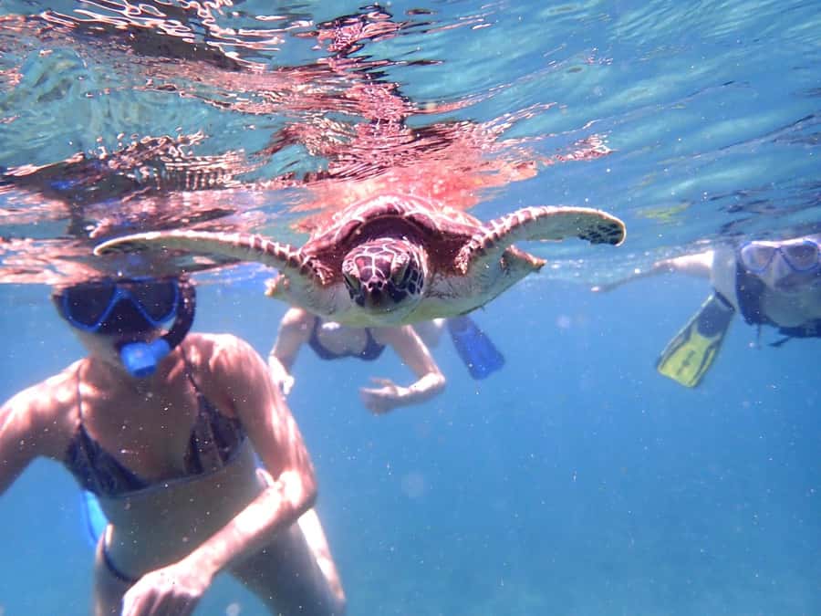 From Al-Seeb: Dimaniyat Islands Boat Trip with Snorkeling - Who this tour fits best, and who should skip it