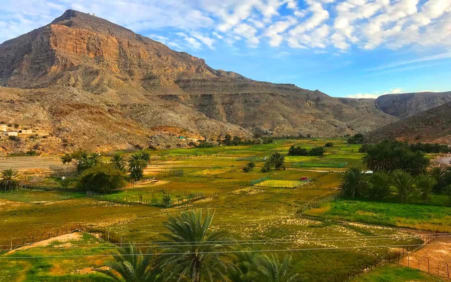 From Dubai: Musandam Khasab Tour with Boat Trip and Safari - Who this Musandam sea-and-mountain combo suits best