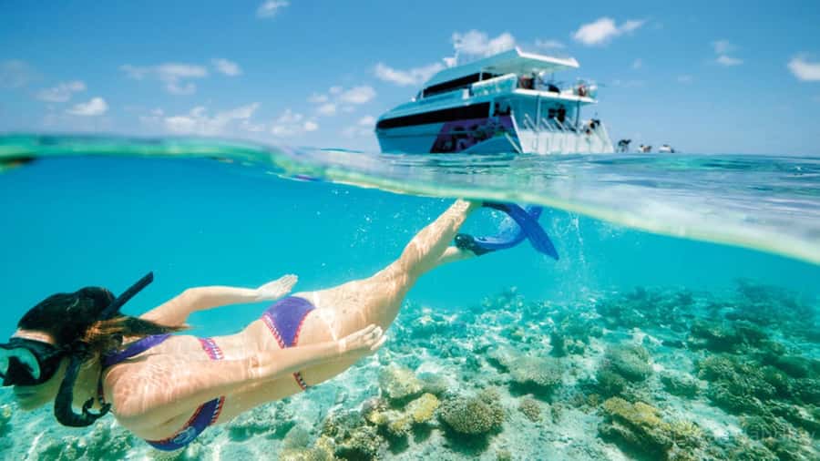 From Muscat: Dimaniyat Islands Snorkeling Tour - Muscat to the Dimaniyat Islands: the ride that frames the day