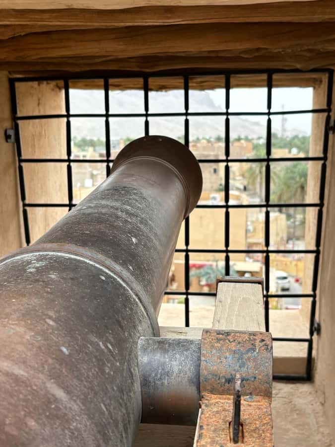 From Muscat: Nizwa and Jebel Shams Day Trip - Guides make or break it, and this one has standout names