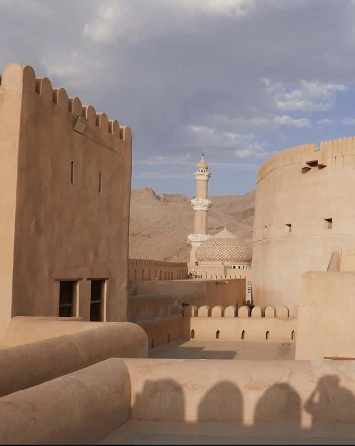 From Muscat: Nizwa Fort, Souq, falaj & Museum Full Day Tour - Key highlights worth aiming for