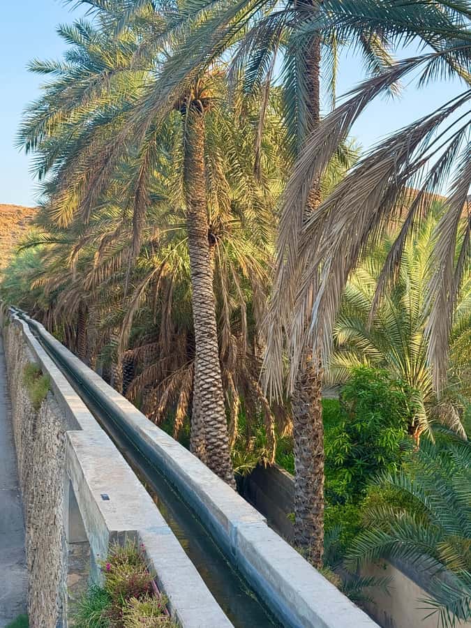 From Muscat: Nizwa Fort, Souq, falaj & Museum Full Day Tour - Nizwa Fort: Tower Views and 17th-Century Defenses