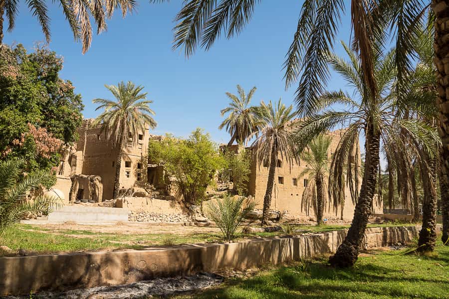 From Muscat: Nizwa & Oman Across Ages Museum - Price and value: What $100 buys you, and what it doesn’t