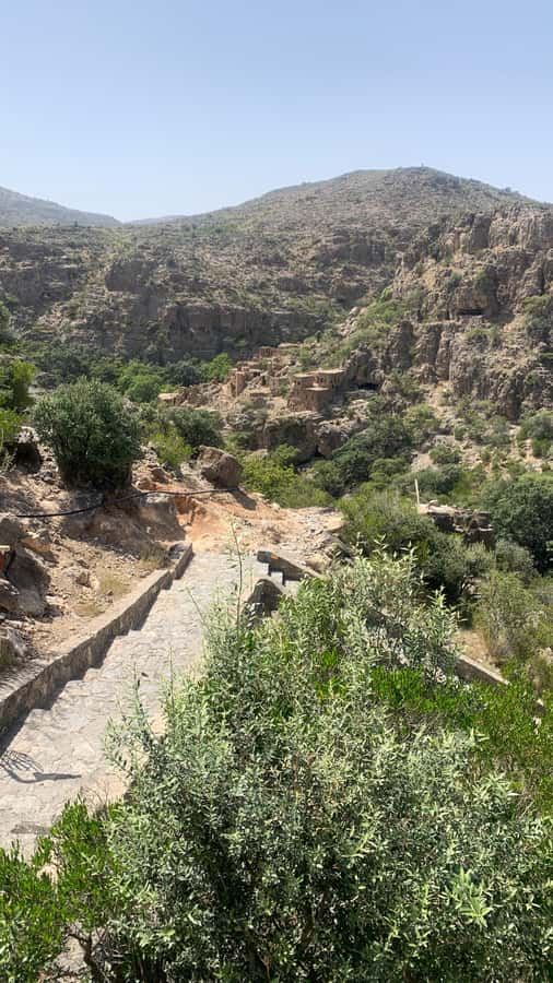 From Muscat: Private Nizwa and Jabel Akhdar-Shams with Lunch - Should You Book This Nizwa Fort, Birkat Al Mouz, and Mountains Tour?