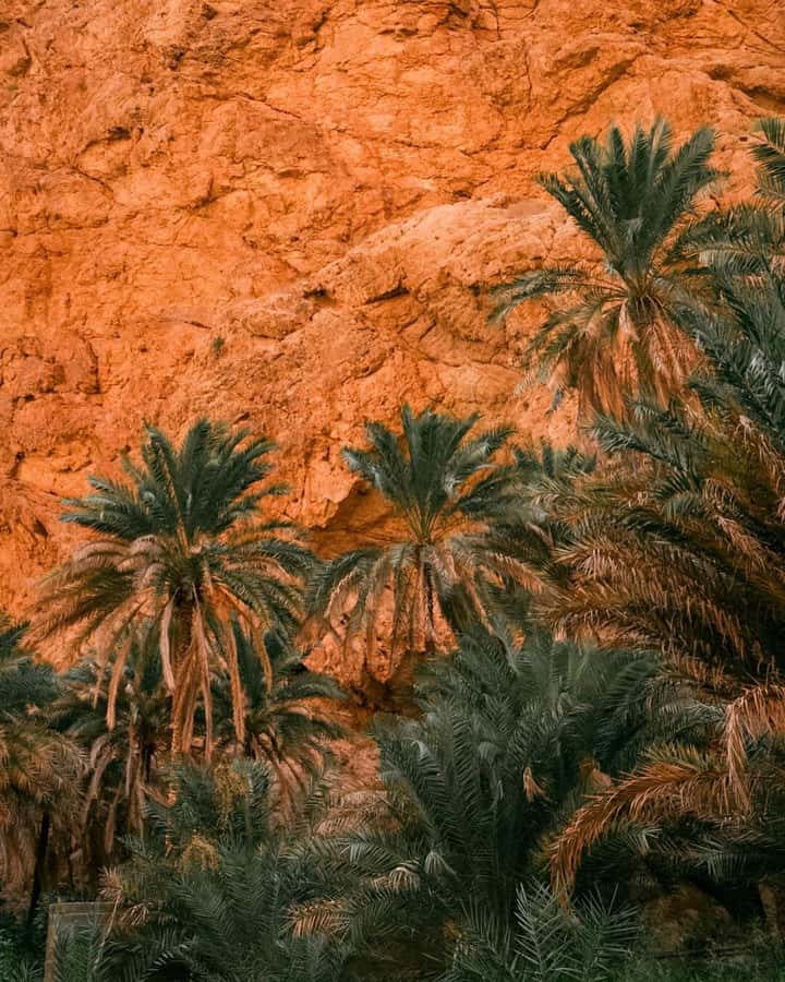 From Muscat:Private Wadi Shab and Bimmah SinkHole Tour - Should you book this Wadi Shab and Bimmah tour?