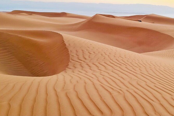 From Muscat: Wadi Hawar and Wahiba Sands Desert Tour - Wahiba Sands Bedouin House Stop: Coffee, Dates, and Camel Choices