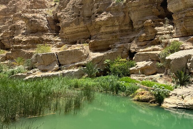 From Muscat Wadi Shab and Bimmah Sinkhole Tour - Swimming time: cool water, good advice, and safety with Ahmed