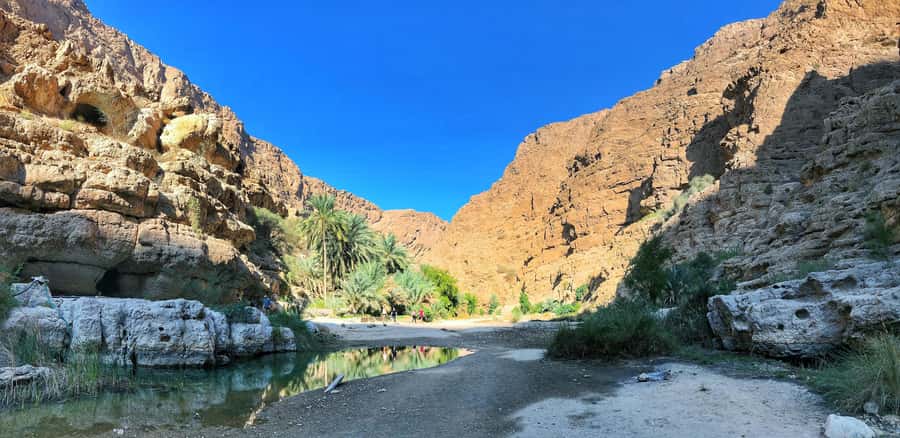From Muscat: Wadi Shab & Bimmah Sinkhole Full-Day Tour - Price and Value: Is $40 a Fair Deal for This Much Day?