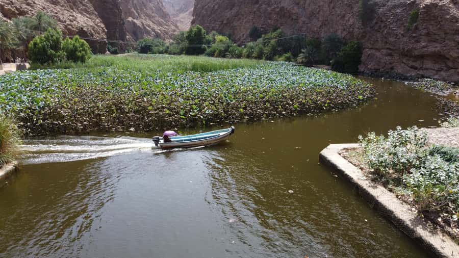 From Muscat: Wadi Shab & Bimmah Sinkhole Full-Day Tour - Bimmah Sinkhole on the Return: Worth It If You Like Scenic Stops