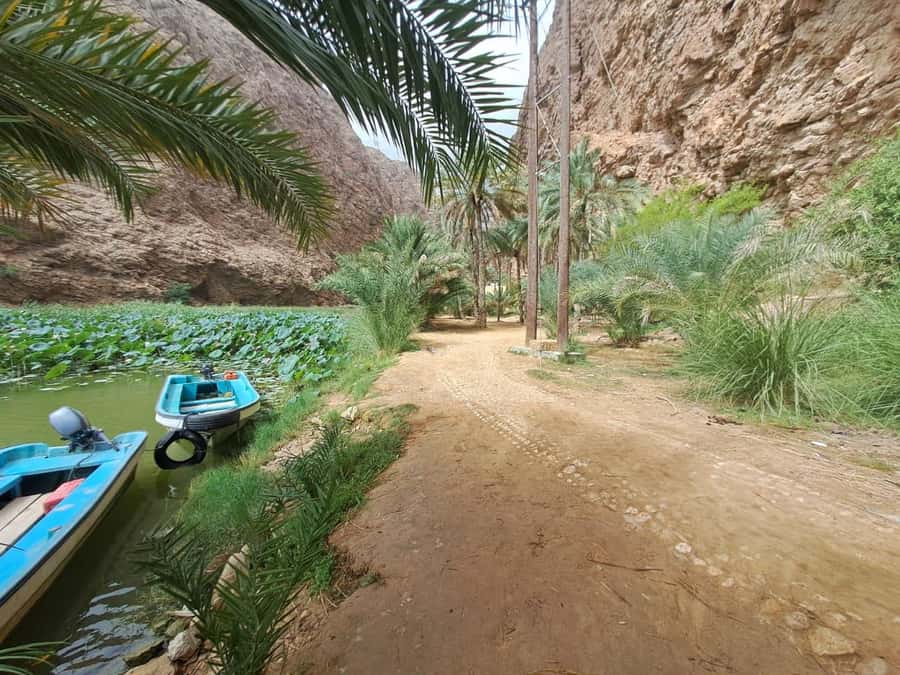 From Muscat: Wadi Shab Expedition - Hidden Cave swim and the waterfall pool, the moment you came for