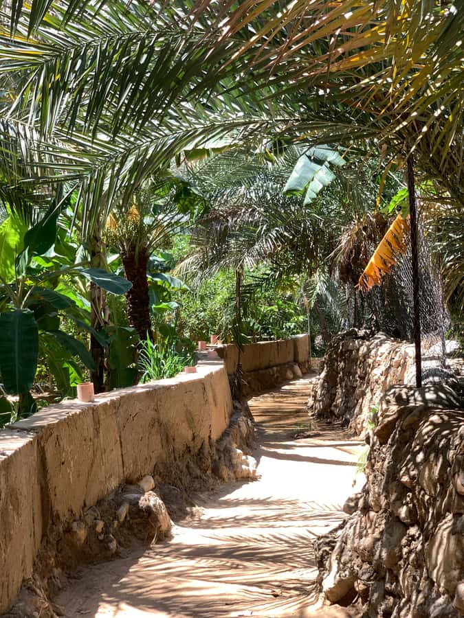 From Muscat: Wadi Shab & Sinkhole Private Tour & Free Lunch - Key takeaways before you go