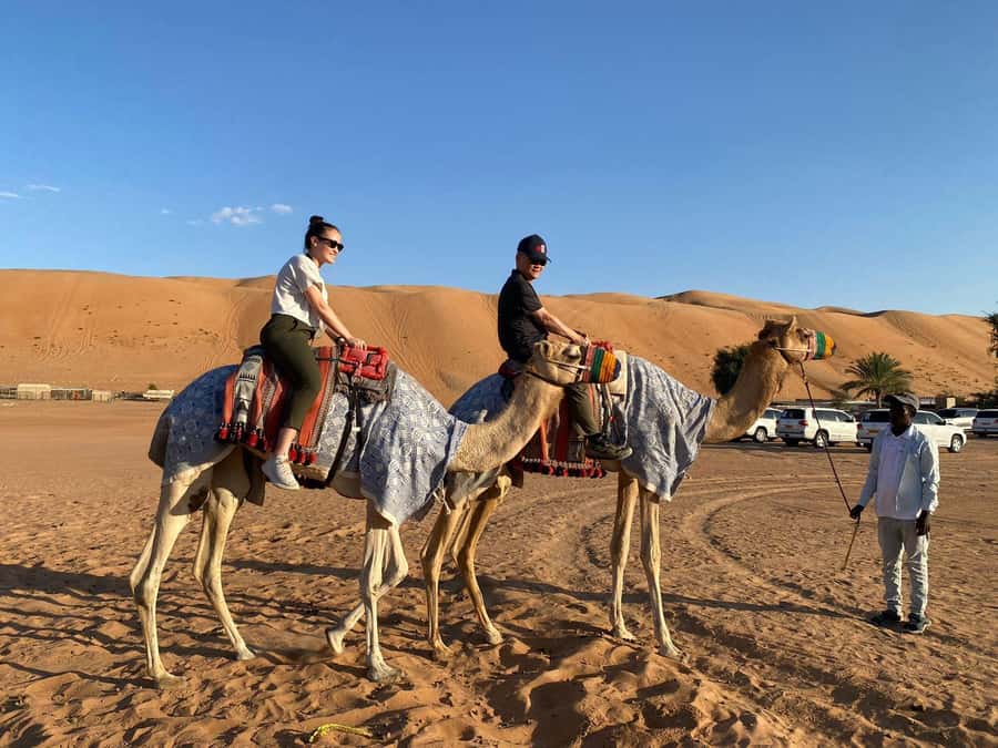 From Muscat: Wahiba Sands Sunset with Desert Camp Dinner - Who this tour suits best, and who should reconsider