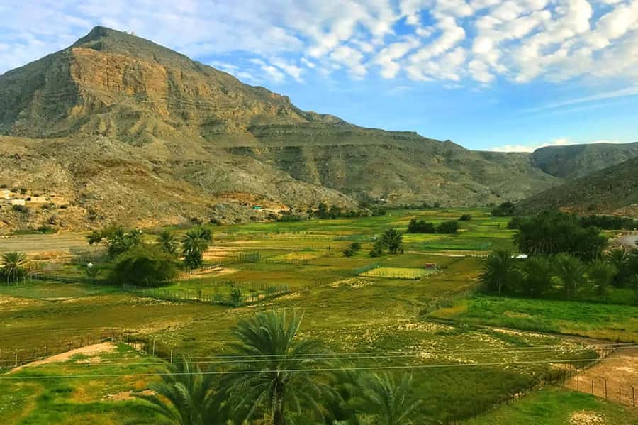 From Ras Al Khaima : Dolphin Watching and Jabal Harim Safari - Who this Musandam day trip suits best