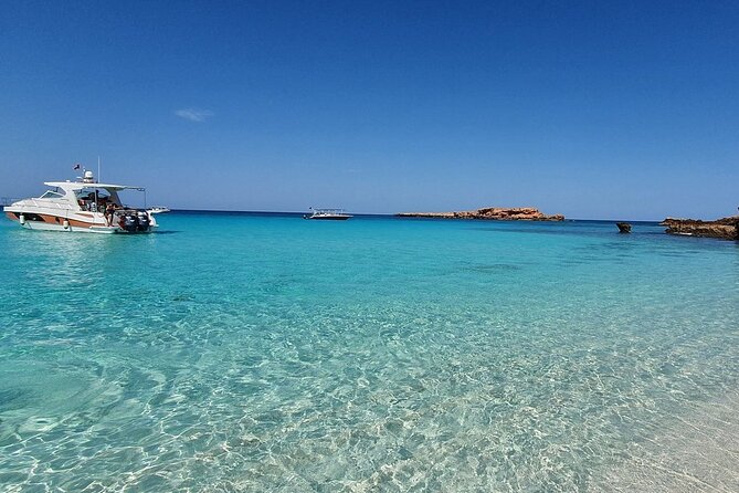 Full Day Dimaniyat Island Excursion - Key Highlights You Should Know