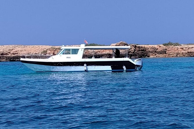 Full Day Dimaniyat Island Excursion - What snorkeling and swimming time means for you