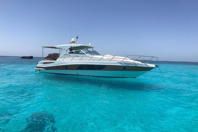 Full Day Dimaniyat Island Excursion - Wildlife spotting: dolphins, turtles, and the occasional surprise