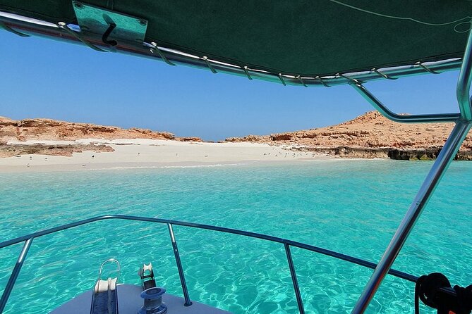 Full Day Dimaniyat Island Excursion - Weather, timing, and the “good day” reality