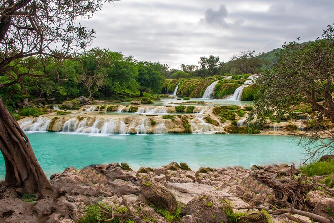 Full Day Guided Salalah a Combination of East and West tour - What I’d Book For: Water, Souqs, and Coastal WOW Moments
