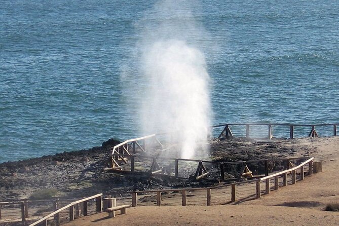 Full Day Guided Salalah a Combination of East and West tour - Price and What You Actually Get for $140 per Person