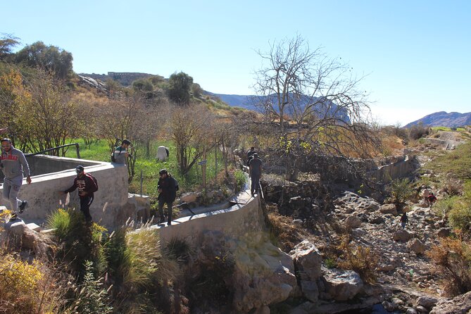 Full-Day Guided Tour to Jebel Akhdar - Jebel Akhdar walk segment 2: rose farms and rosewater in March, fruit in summer