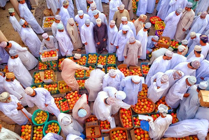Full-Day Nizwa Fort, Bahla Fort and Jabreen Castle Private Tour - Is $187 good value for this Oman fort circuit?