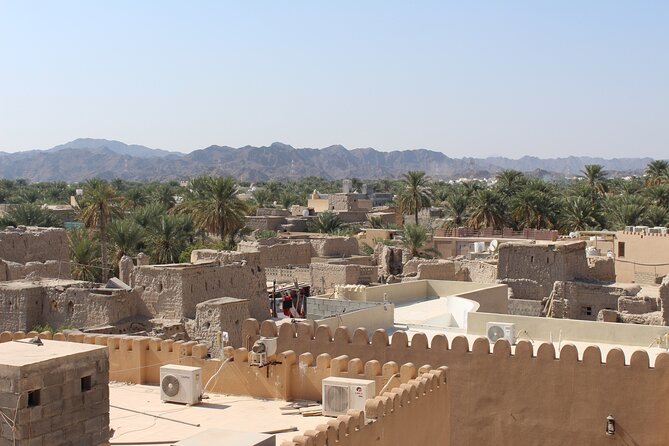 Full Day Nizwa & Jebel Akhdar Guided Tour - Nizwa Souq: fish, pottery, jewelry, and real old-market rhythm