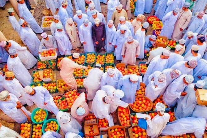 Full Day Private Historical Tour from Muscat to Nizwa Region - Guides make or break a historical day, and this one gets high marks