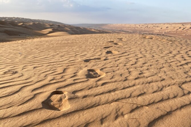 Full-Day Private Tour of Wahiba Sands Desert and Wadi Bani Khalid - Lunch, water, and air-conditioned comfort in the middle of nowhere