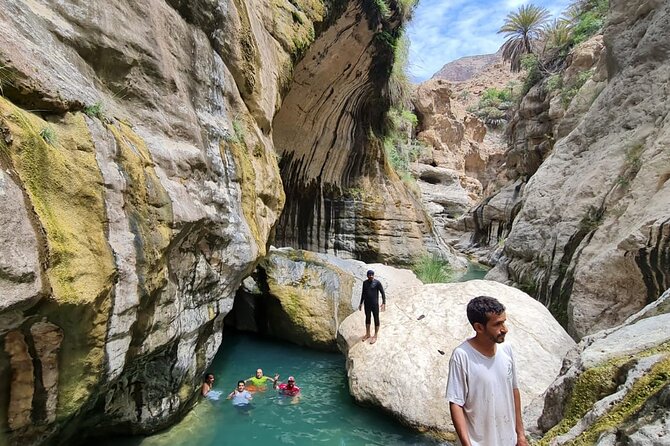 Full-Day Private Wadi Tiwi Adventure - Lunch Stop: Simple, Practical, and Not Included