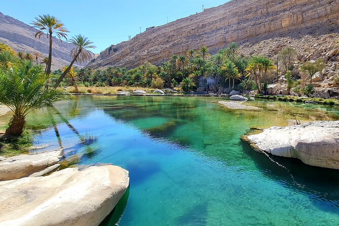 Full-Day Private Wahiba Sands Desert and Wadi Bani Khalid Tour - Wahiba Sands: 4x4 dune driving plus Bedouin culture