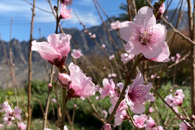 Full Day Tour from Wakan to Jebel Akhdar Trekking - The Main Work: 9 Kilometers Up Through Terraced Fields and Waterways