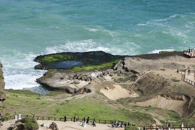 Full day west tour of Salalah - Frankincense Trees and Honey Bees: More Than a Photo Stop