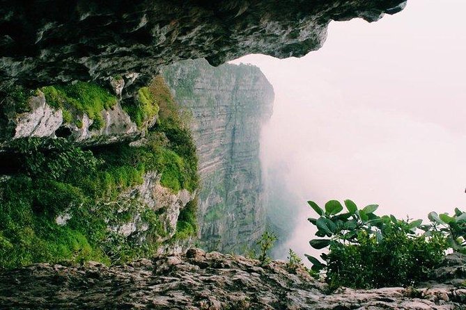 Full day west tour of Salalah - Price and Logistics: Is $220 Good Value?
