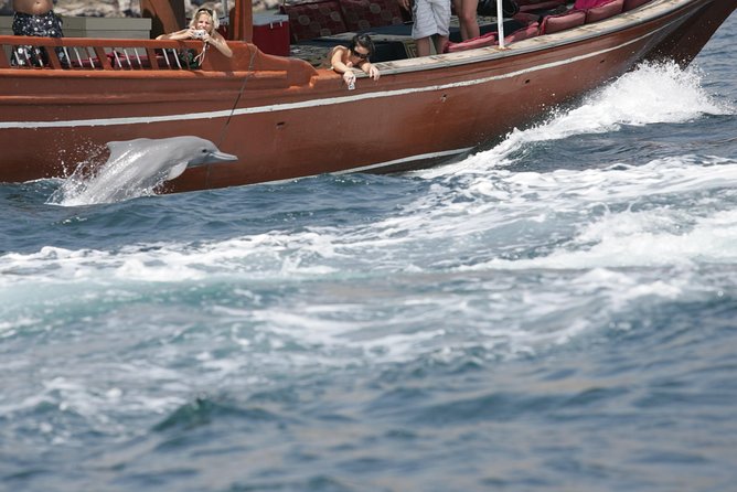 Half Day Dolphin Watching Musandam Dhow Cruise - Dolphin watching in Musandam, why it’s the main event