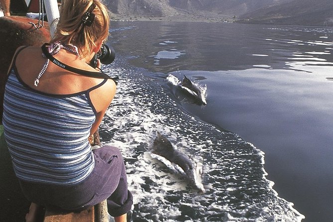 Half Day Dolphin Watching Musandam Dhow Cruise - Comfort on a traditional dhow: seats, towels, and onboard basics
