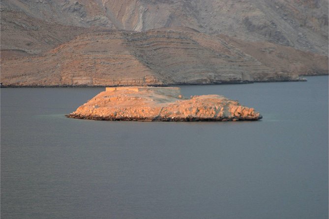 Half Day Dolphin Watching Musandam Dhow Cruise - Should you book the Half Day Dolphin Watching Musandam Dhow Cruise?