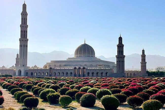 Half Day Private Muscat City Afternoon Tour - Price and logistics: what $115 covers on a private half-day