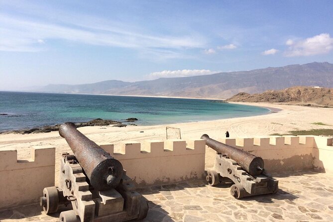 Half Day Private Muscat City Afternoon Tour - Royal Opera House area: included time, optional interior at 8 USD