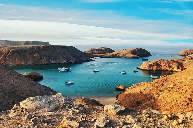 Half-Day Private Muscat City Tour- with a local guide - Mutrah Fish Market, the auction rhythm you can actually watch