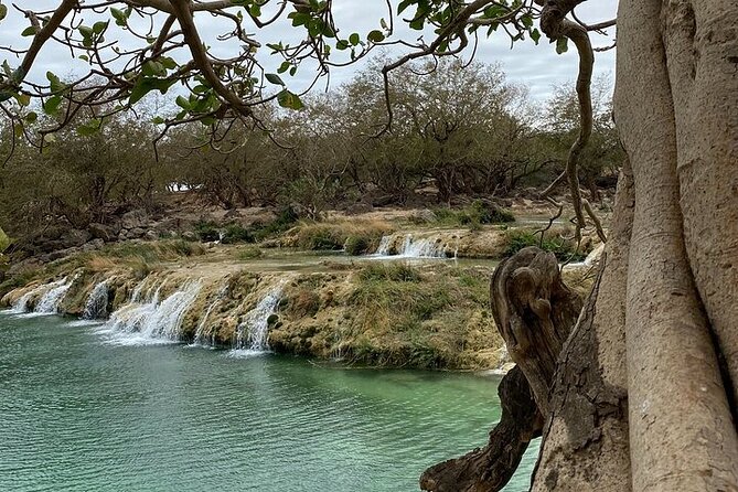 Half-Day Private Salalah East Tour - Key Highlights You Will Actually Feel