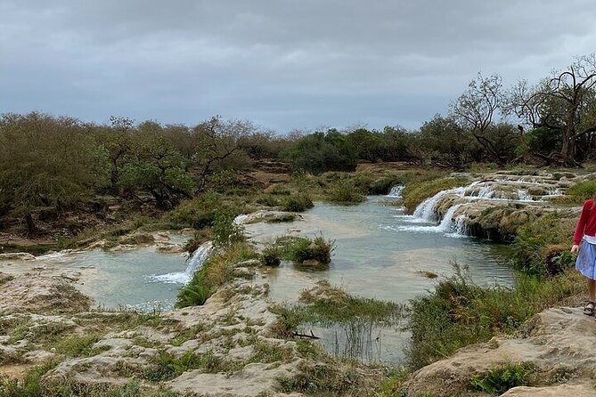 Half-Day Private Salalah East Tour - Jebel Samhan: A Cloud-Top View in Dhofar