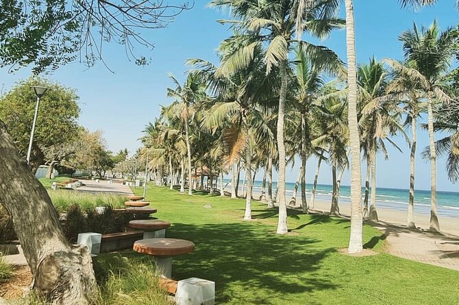 Half-Day Private Tour in Muscat City Oman - Qurum Beach photos and a real-life tea break