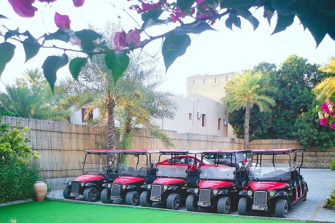 Heritage private Tour by classic carts - The Irrigation System: Seeing Oman Like a Local
