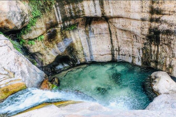 Hidden Gems of Oman: Sinkhole, Fins Beach & Wadi Tiwi Adventure - Wadi Tiwi: 5 Hours of Pools, Waterfalls, and a Real Swim