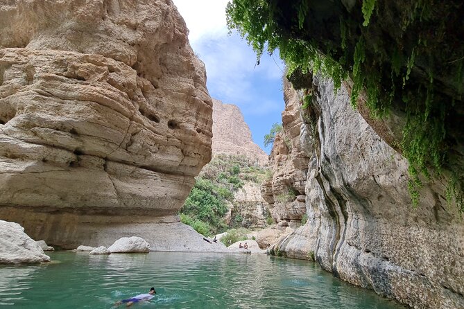 Hidden Gems of Oman: Sinkhole, Fins Beach & Wadi Tiwi Adventure - Wadi Shab Photo Stop: Palm Lined Power of Water