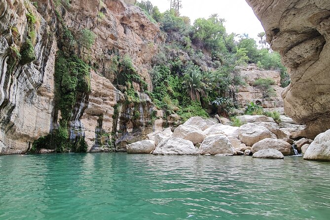 Hidden Gems of Oman: Sinkhole, Fins Beach & Wadi Tiwi Adventure - Muscat Pickup and 4WD Comfort on Wadi Roads