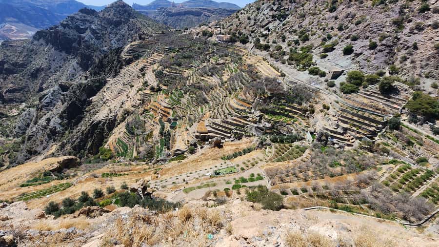 Historical City of Nizwa - Should you book Historical City of Nizwa?